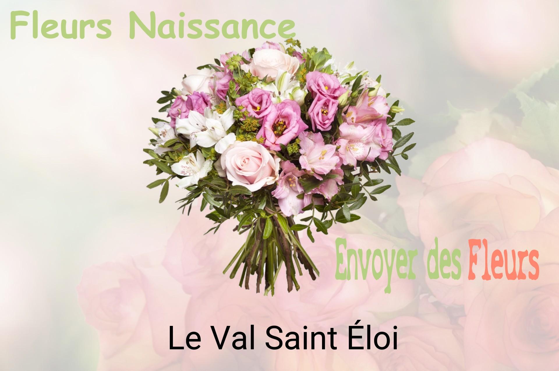 Bouquet de fleurs de naissance livré à Le Val-Saint-Éloi